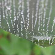 ./IMG_3990