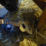 MP2017 (barba-p1020800)