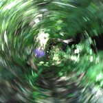MP2017 (gyenes-img-20170803-162714)