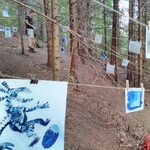 MP2017 (gyenes-img-20170805-200523)