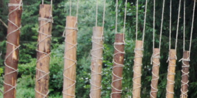 Instrument muzical (instalație arhitecturală)