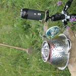 MP2025 (hdorka-90045)